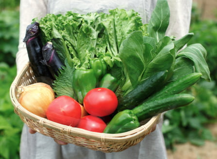 新鮮な野菜と果物