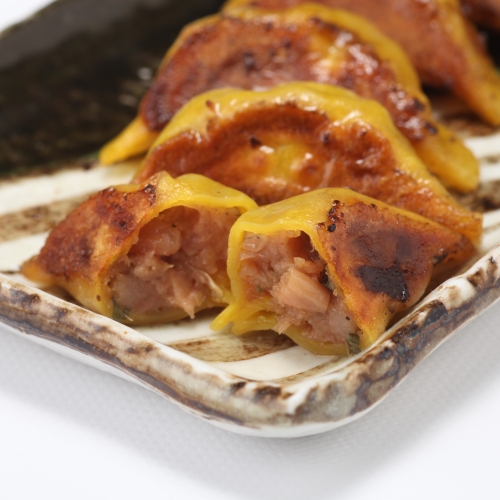 飛騨牛肉餃子　徳用ファミリーパック【10人前　50個入り】