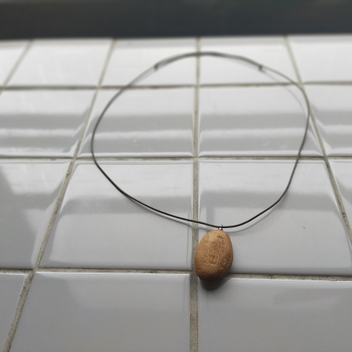 『Asteroid』ペンダント＜水楢＞